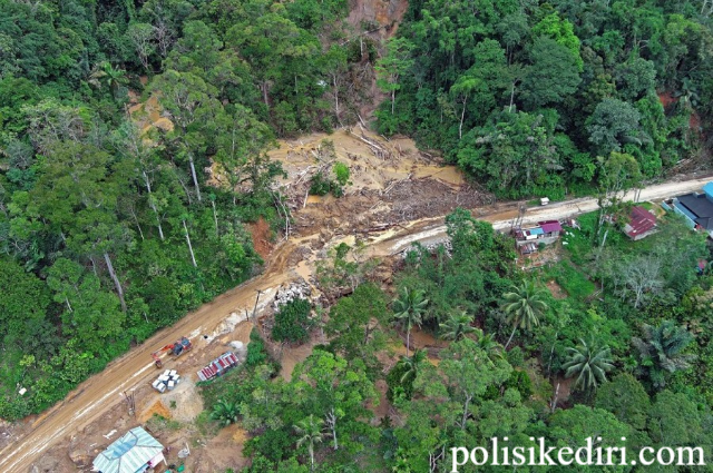 Viral Ajakan Patungan Beli Hutan Usai Banjir Aceh