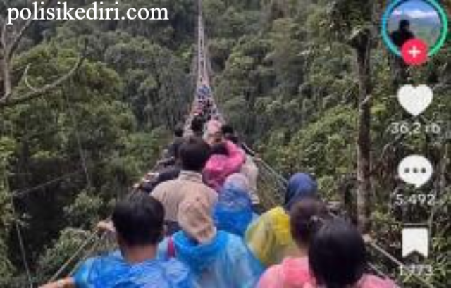 Viral! Pengunjung Membeludak di Jembatan Gantung Situ Gunung