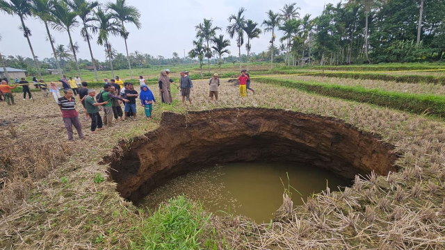 Fenomena Alam di Sumatera Barat: Heboh Lubang Raksasa di Sawah Lima Puluh Kota